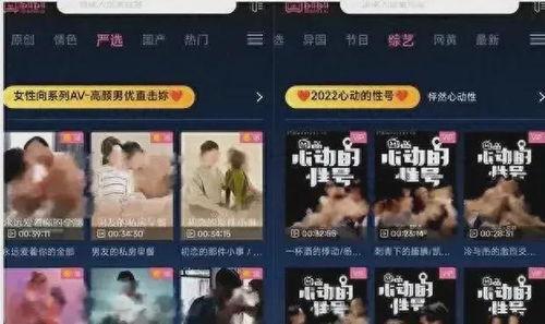 成人网在线视频免费观看