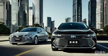 亚洲龙战斗视频,惊心动魄的战斗场面揭秘