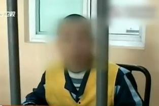 成人的性视频免费视频,免费内容的背后真相